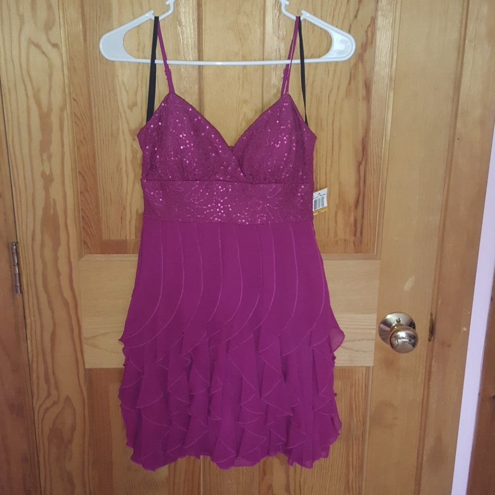 NWT Purple Dress